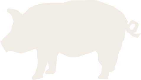 pig.png